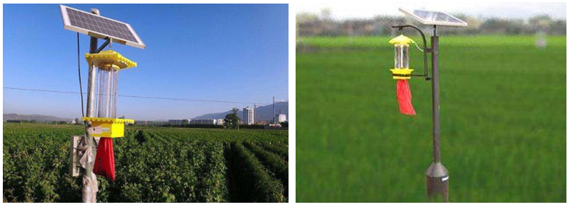 1581521518134022.png image.png